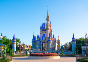 7 NIGHTS