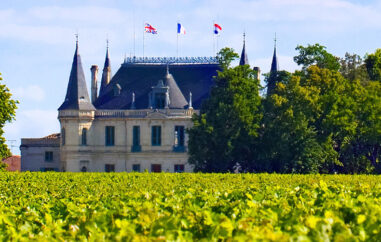 bICYCLE  THRU THE VINEYARDS -WINE TASTING AT  GRAND CHATEAUXS